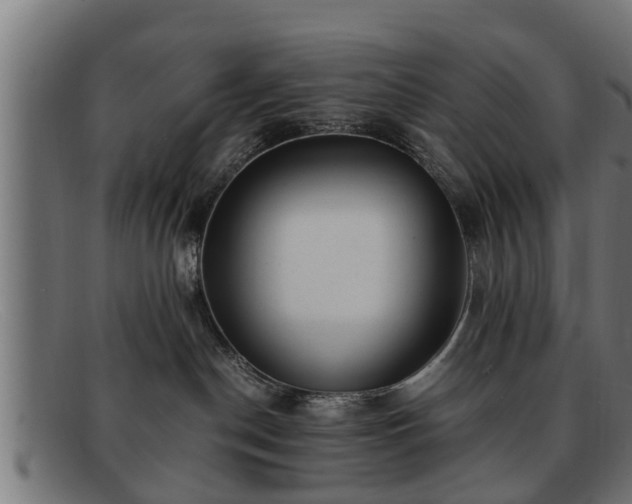 X0000091980190200709131419