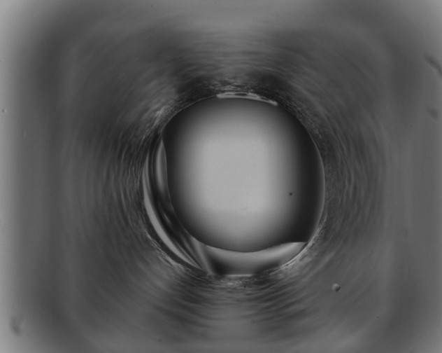 X0000091980192200709131419