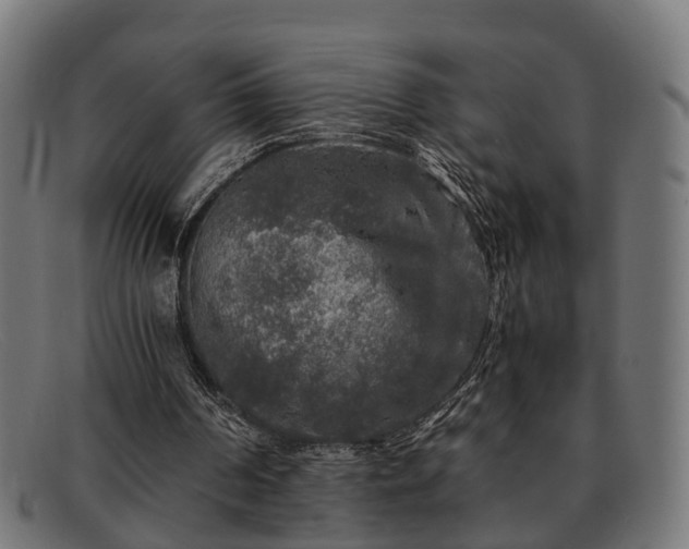 X0000091980194200709131418