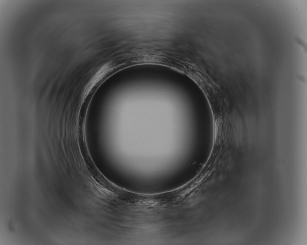 X0000091980195200709131418