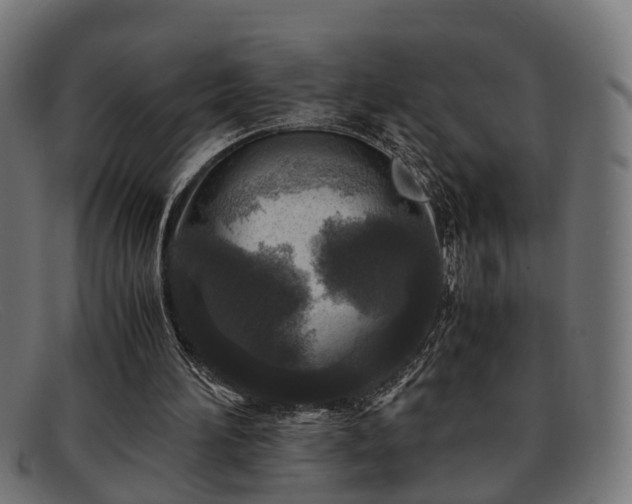 X0000091980196200709131418