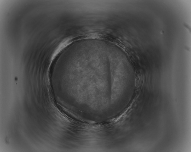 X0000091980198200709131418