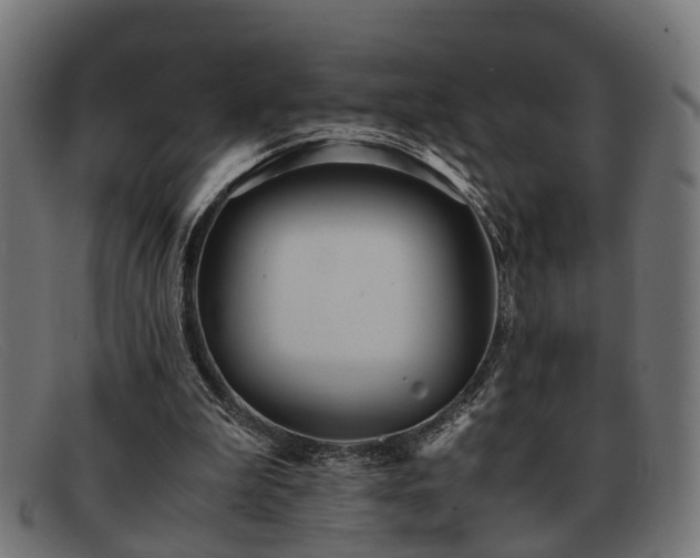 X0000091980199200709131418