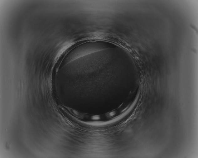 X0000091980200200709131418