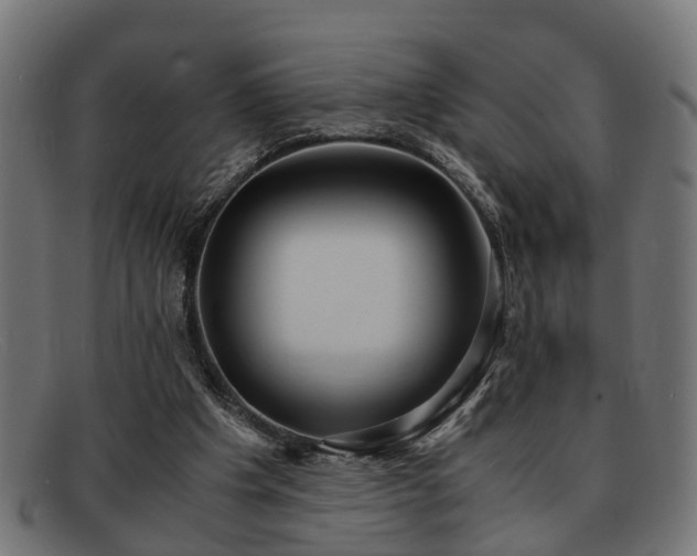 X0000091980201200709131418