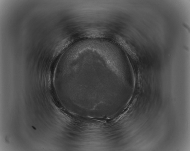 X0000091980202200709131418