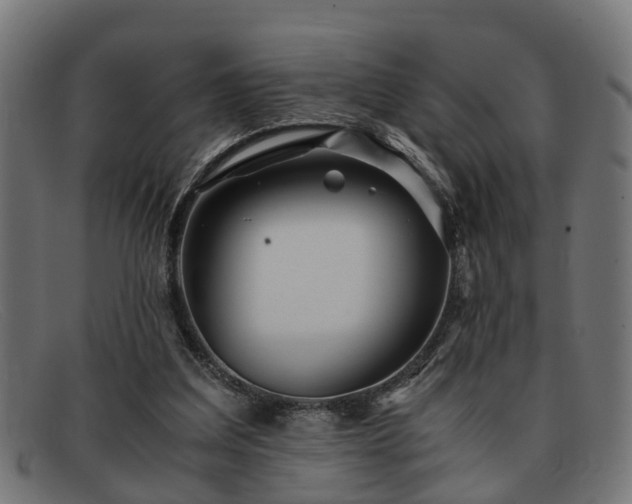 X0000091980203200709131418