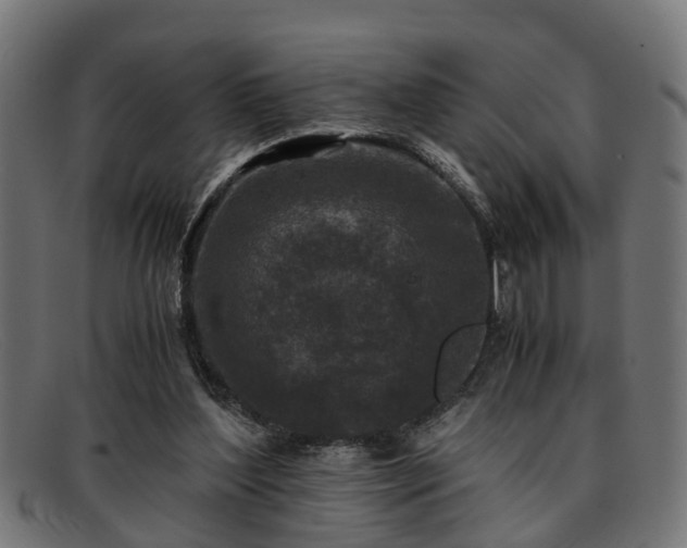 X0000091980204200709131418