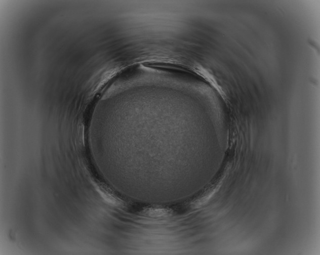 X0000091980205200709131418