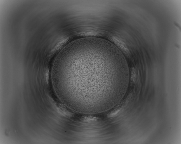 X0000091980206200709131418