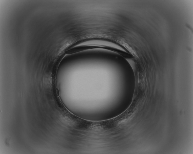 X0000091980207200709131418