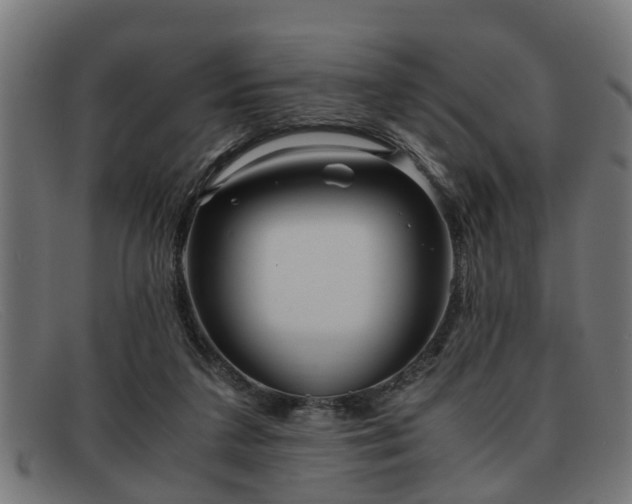 X0000091980211200709131418