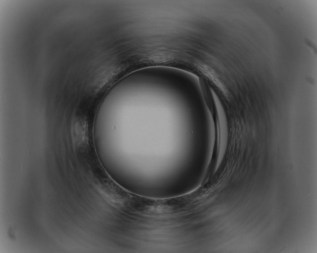 X0000091980212200709131418