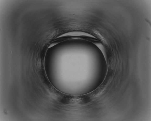 X0000091980213200709131418