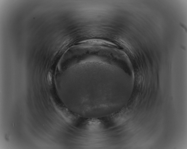 X0000091980214200709131418