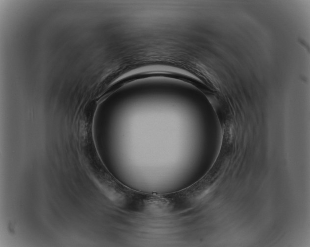 X0000091980215200709131418