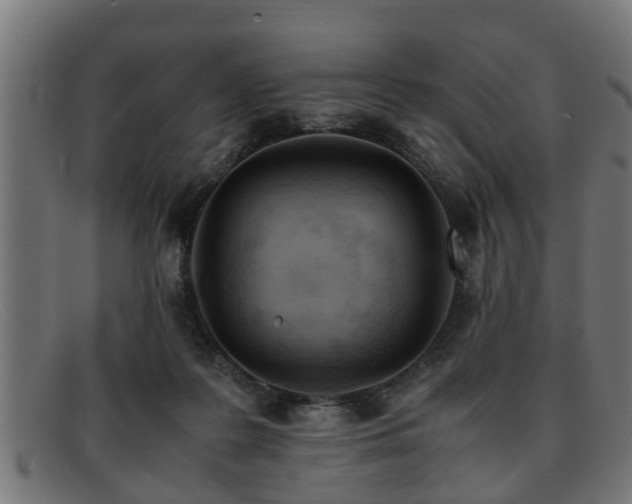 X0000091980219200709131418