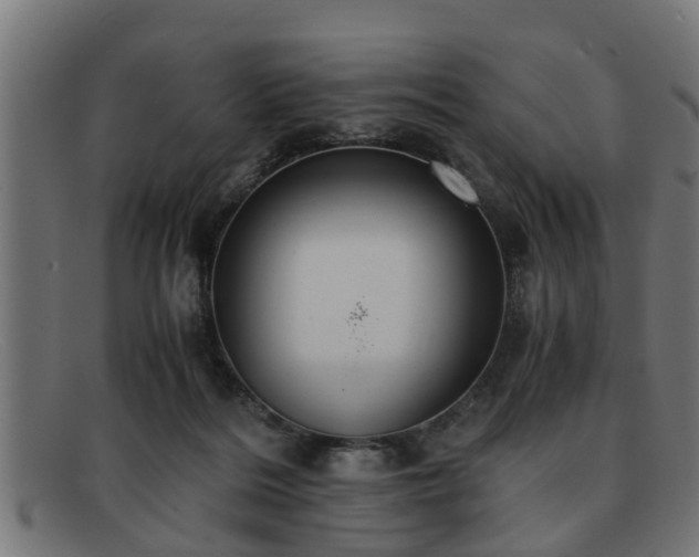 X0000091980220200709131418