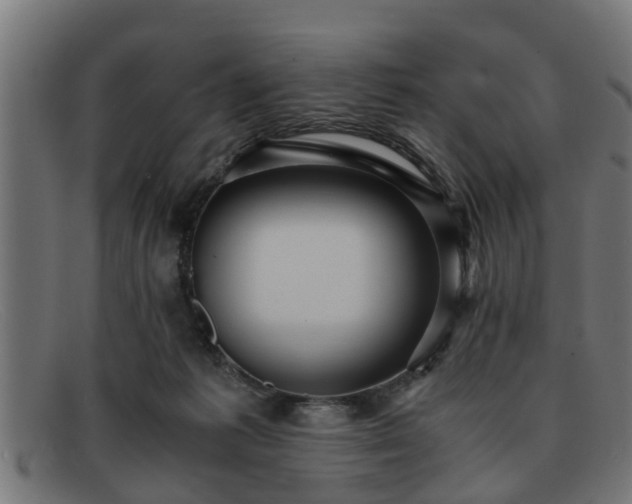 X0000091980221200709131418