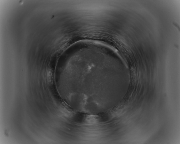 X0000091980222200709131418