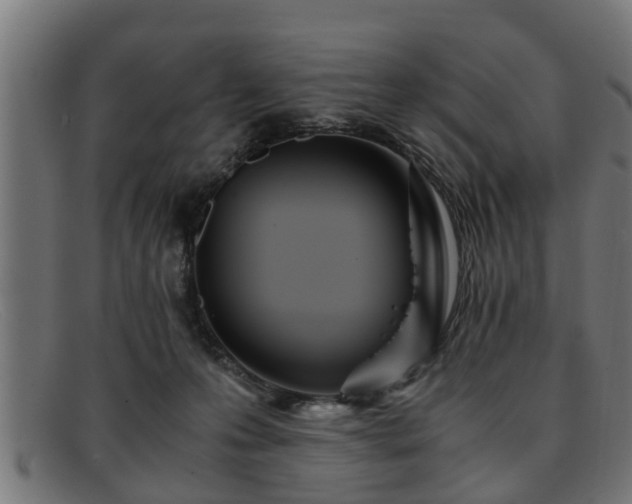 X0000091980223200709131418