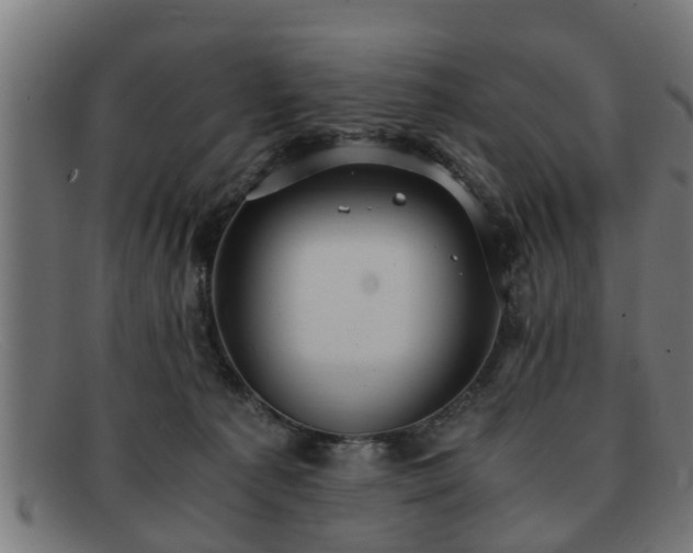 X0000091980225200709131418