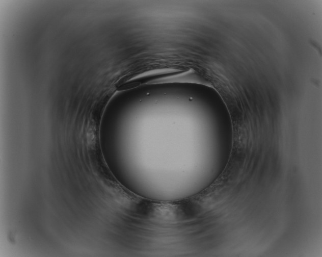 X0000091980226200709131418