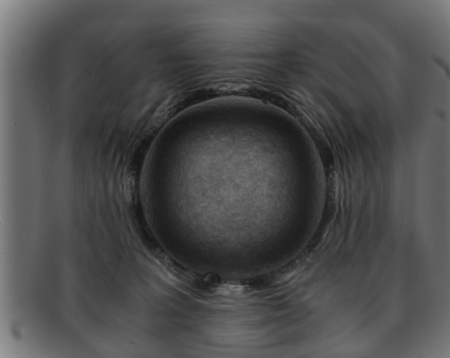 X0000091980227200709131418