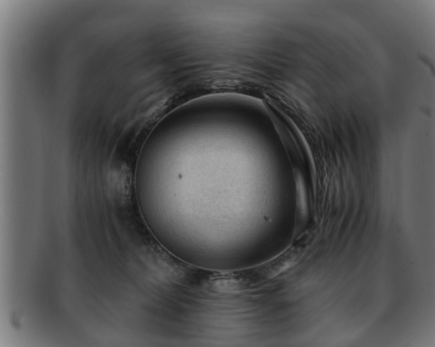 X0000091980228200709131418