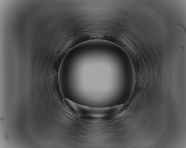 X0000091980229200709131418