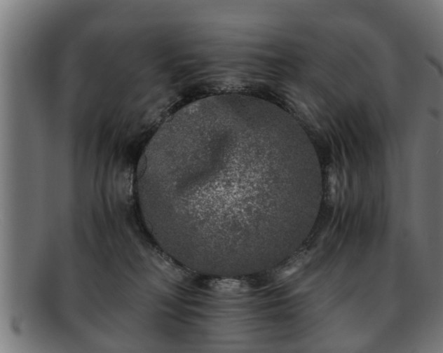 X0000091980230200709131418