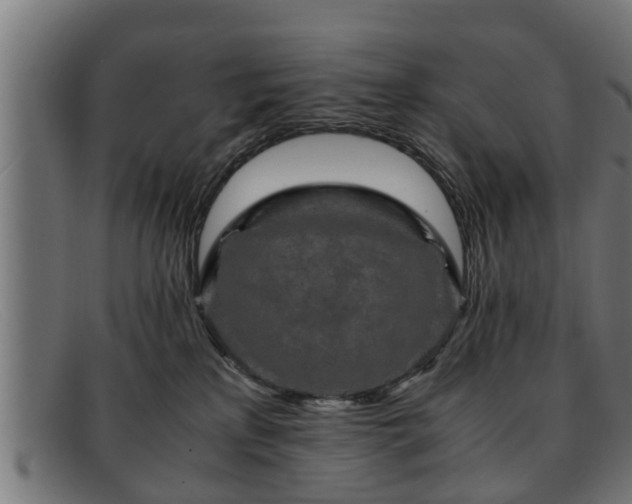 X0000091980233200709131418