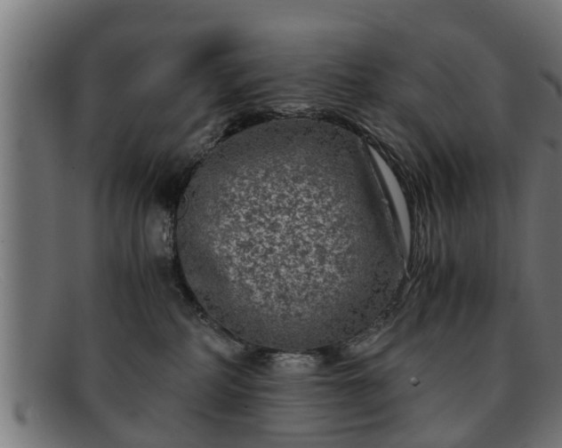 X0000091980234200709131418