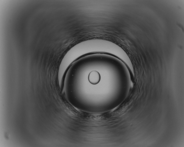 X0000091980235200709131418