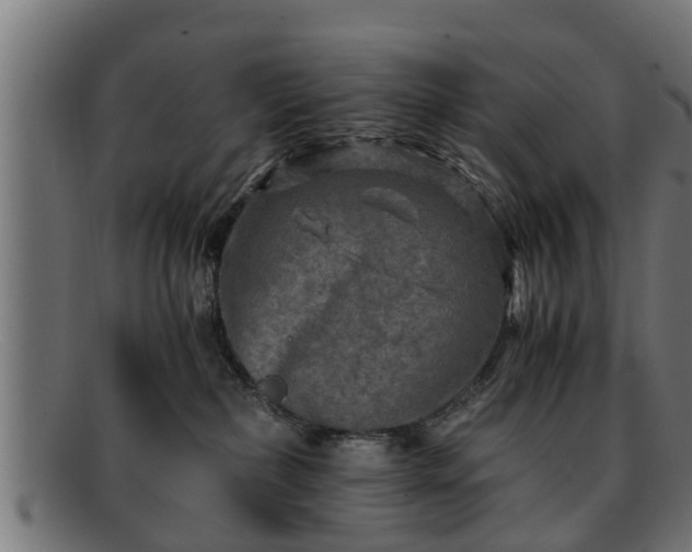 X0000091980236200709131418