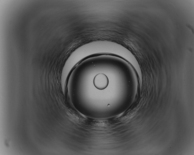 X0000091980237200709131418