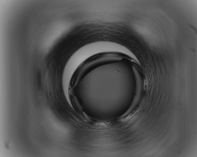 X0000091980239200709131418