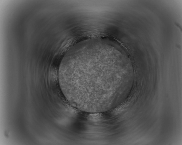 X0000091980240200709131418