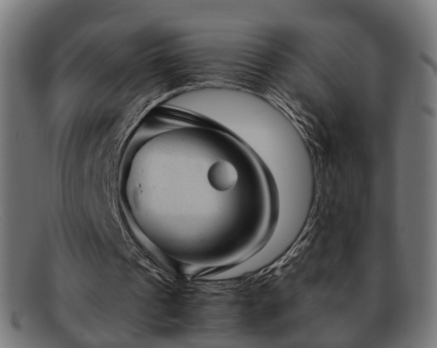 X0000091980241200709131417