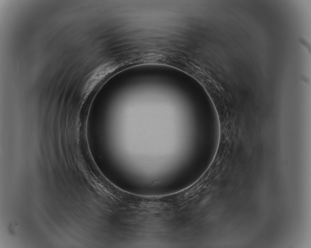 X0000091980242200709131417