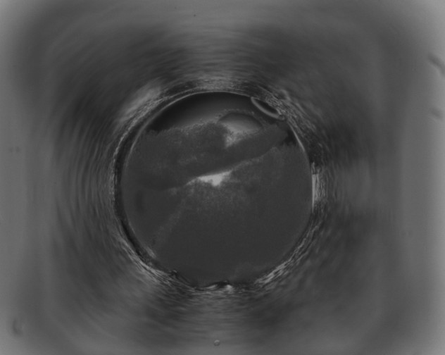 X0000091980243200709131417