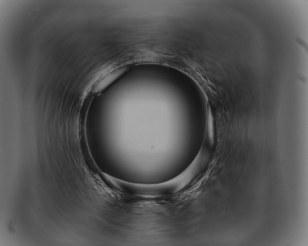 X0000091980244200709131417