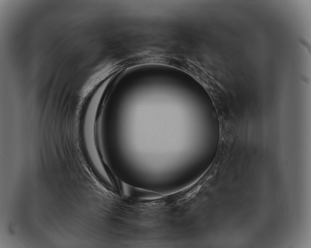 X0000091980245200709131417