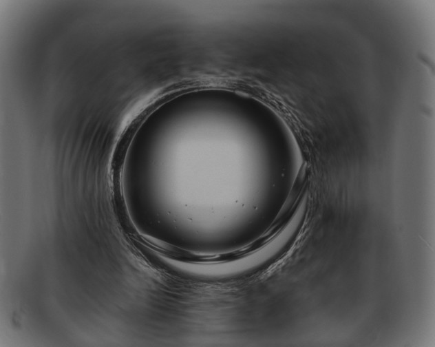 X0000091980246200709131417