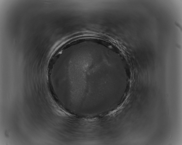 X0000091980247200709131417