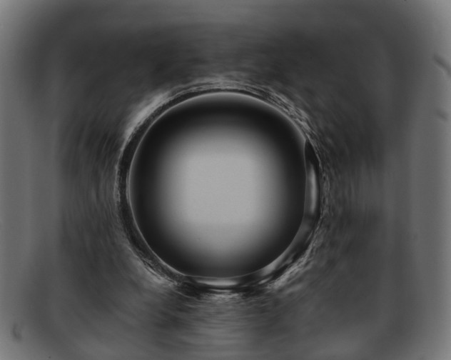 X0000091980248200709131417