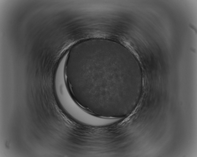 X0000091980249200709131417