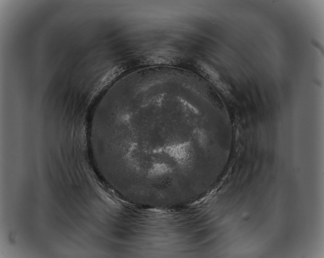 X0000091980250200709131417