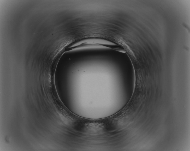 X0000091980251200709131417