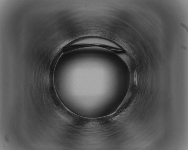 X0000091980252200709131417